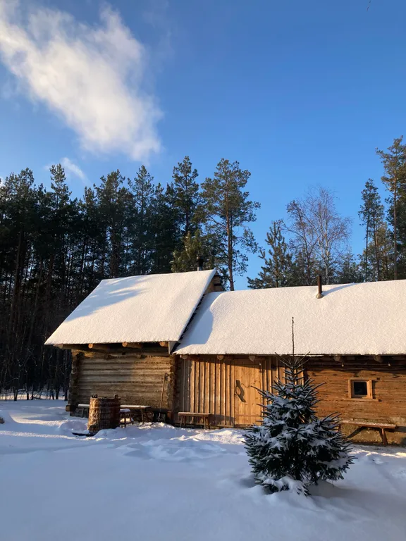 Уютный лесной домик со всеми удобствами