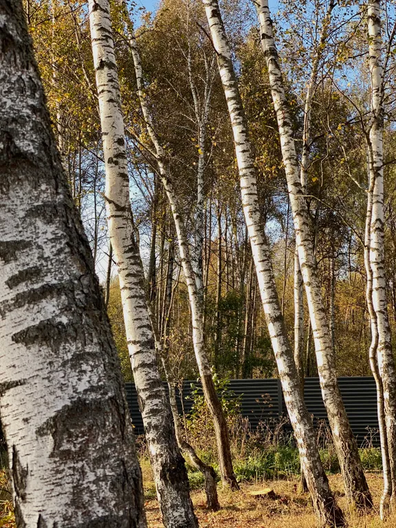 Скандинавский дом с джакузи, сауной и видом на живописное поле