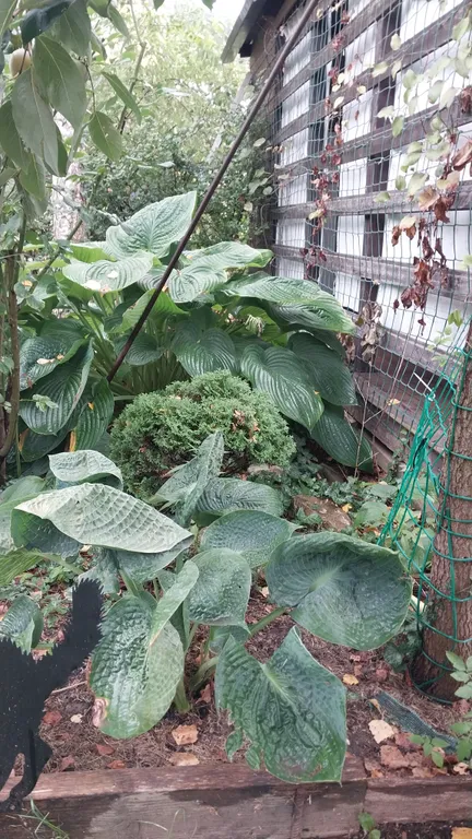 Домик Персиковая поляна