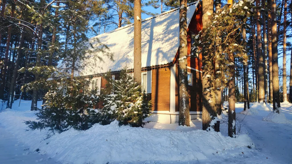 Коттедж Дом у озера с баней, чаном и детской площадкой с батутом. — Ланино