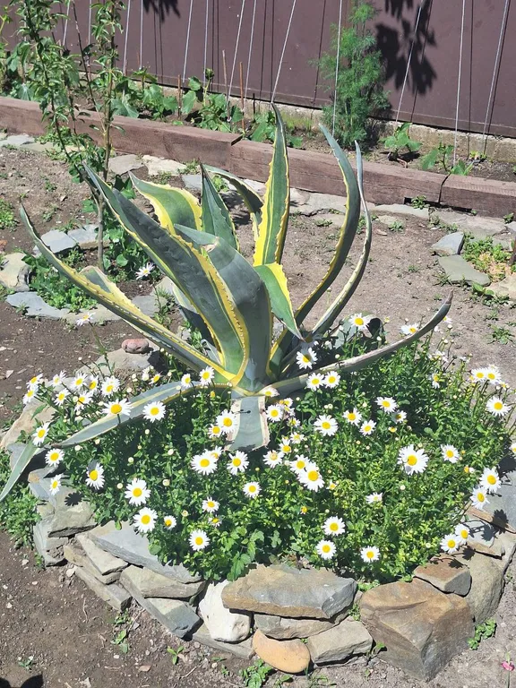 Коттедж Дом в центре города с парковкой и мангальной зоной — Геленджик