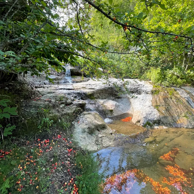 Коттедж Домик в горах Cherrychillvillage — Лучистое