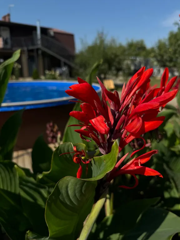 Двухкомнатные апартаменты на 4 человек в 200 метрах от моря