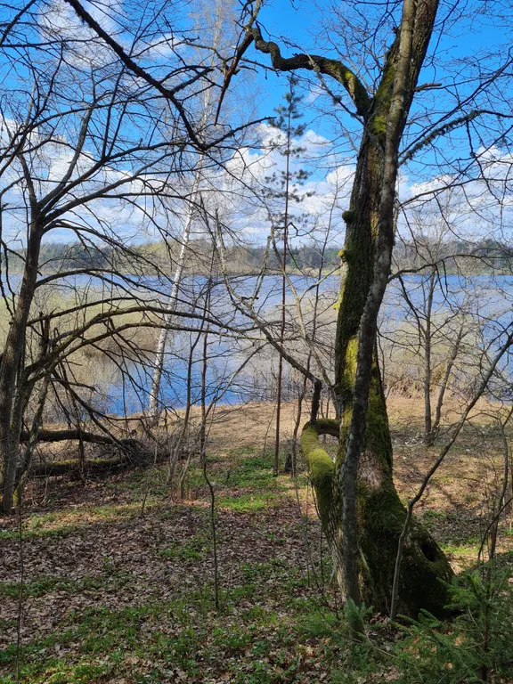 Коттедж Коттеджи у озера — Луга