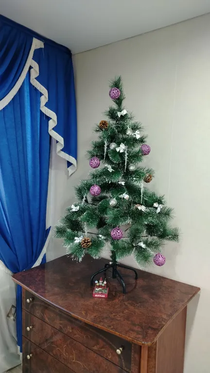 Большая уютная квартира