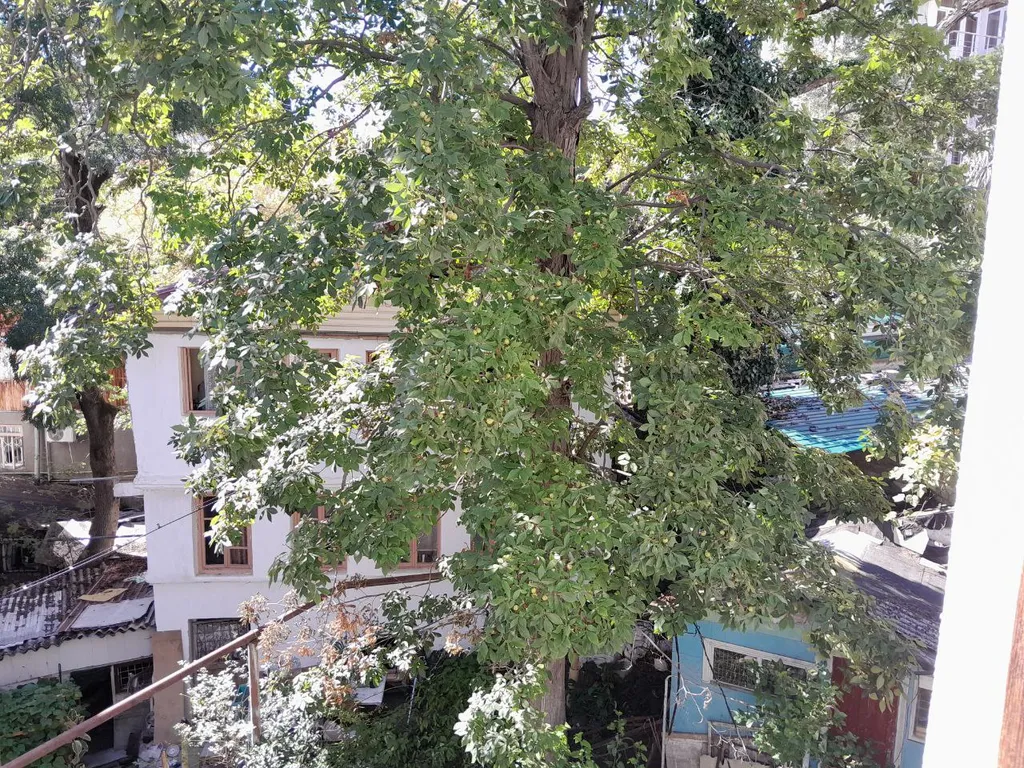 Квартира Квартира Номер в центре города — Сочи