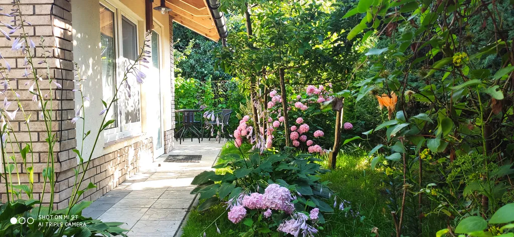 Светлая и просторная студия в чудесном саду для отдыха под шум моря