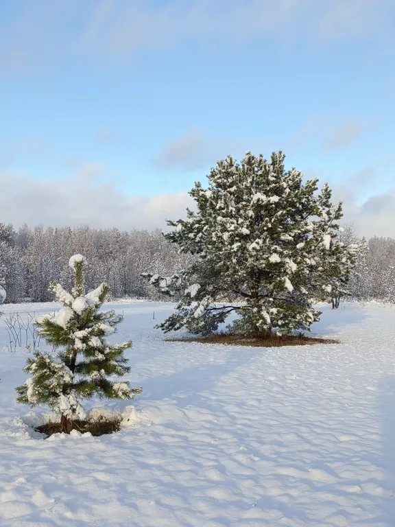 Частный дом Дыхание