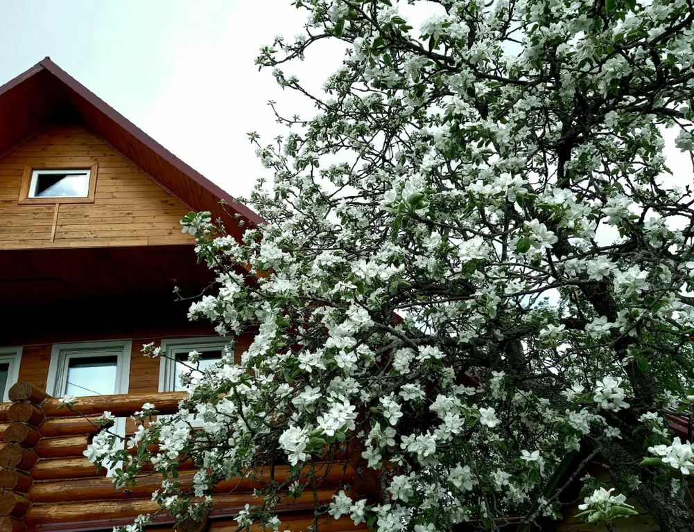 Банно-гостевой дом Старый Город