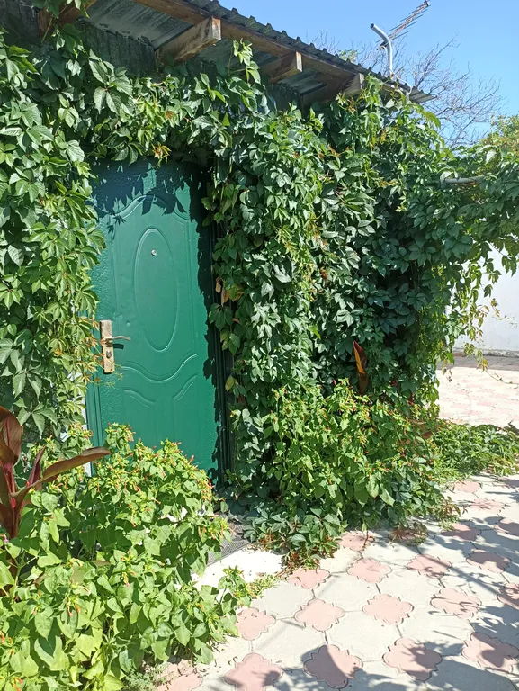 Отдельный четырёхместный домик