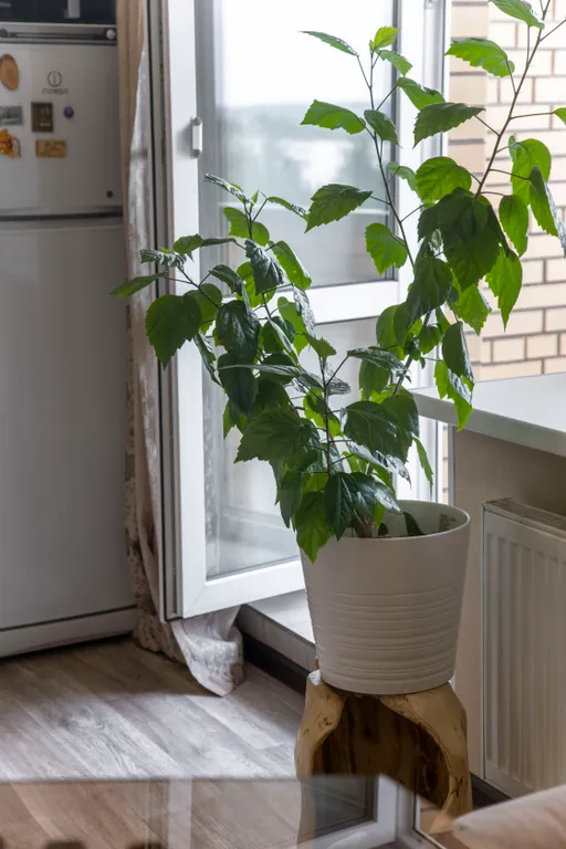 Апартаменты Юбилейные