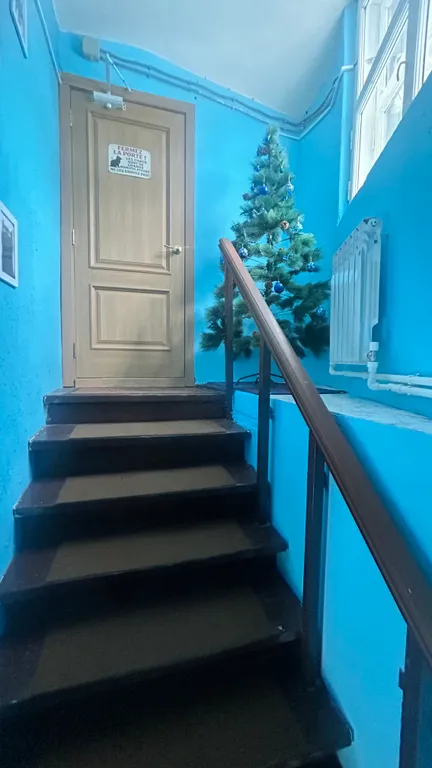 Двухкомнатная мансарда в центре Нижнего