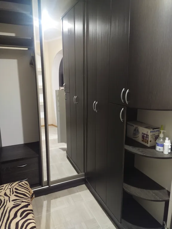 Уютная однокомнатная квартира