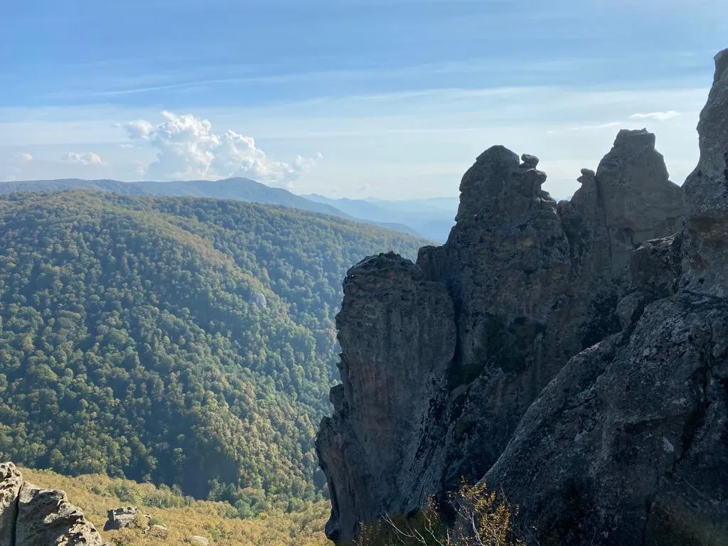 Квартира на набережной