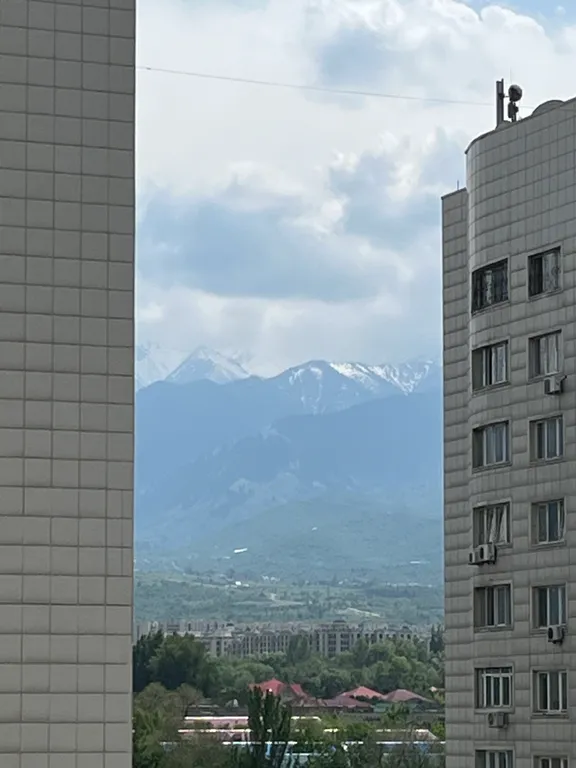 Квартира в районе ТЯрЦ Мега и парка Президента