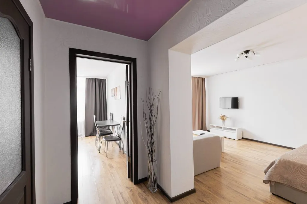 Большой 1-комнатной квартиры с видом на парк и реку