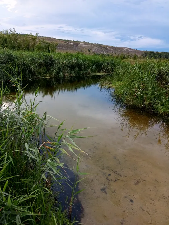 Уютная дача посуточно для семейного отдыха, ночлега