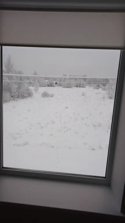 Уютный Таунхаус Хитрый лис