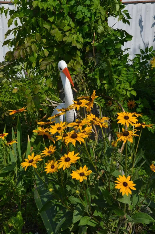 Уютный дом на Куршской Косе