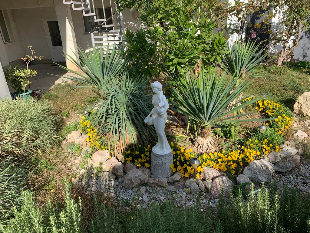 Квартира Уютная комната с видом на сад — Севастополь