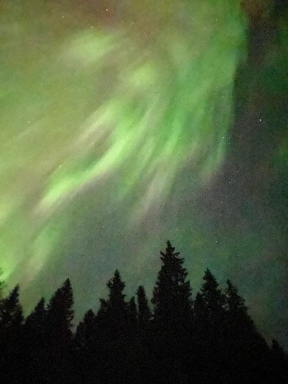 Уютная лесная дача в экологически чистом месте северного приладожья
