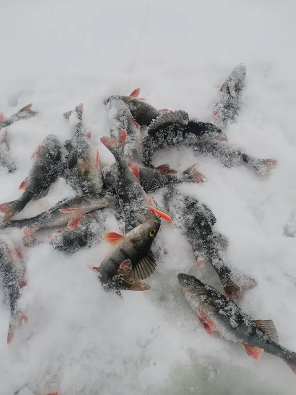 Уютный дом у реки с сауной и купелью