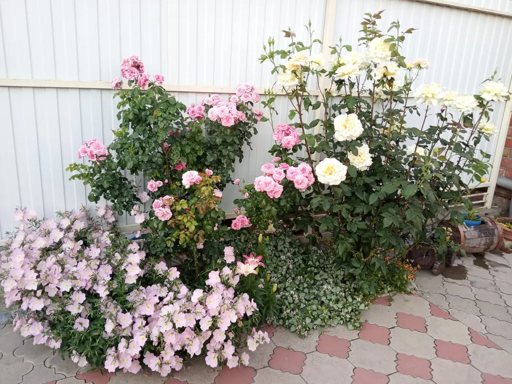 Уютная квартира-студия в центре города — аренда посуточно в Ейск