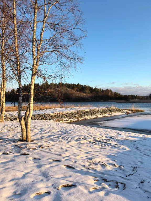 Дом на берегу Ладоги с песчаным пляжем, баня с купелью
