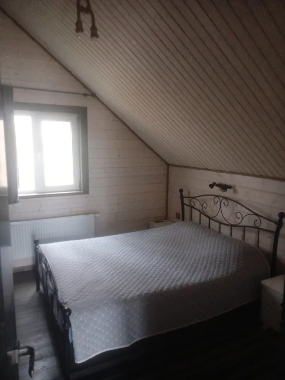 Коттедж Дом на озере — Борщево