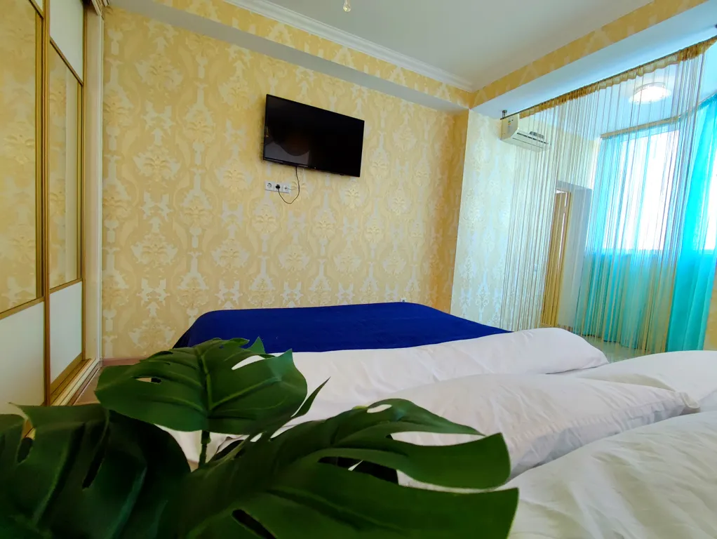 1-комнатная квартира с видом на город