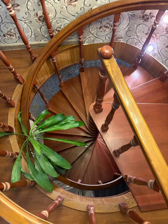 Квартира Шикарная двухэтажная квартира с видом на лес — Янино-1