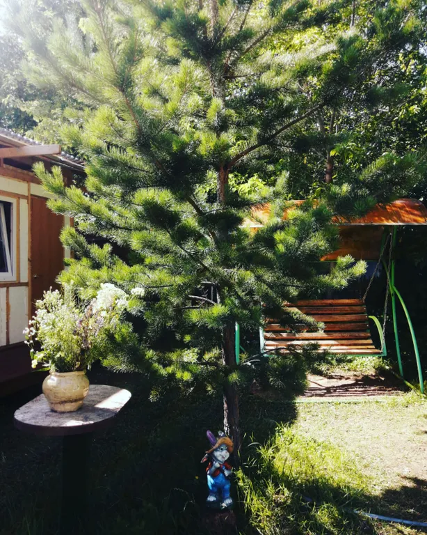 Домик на озере Шира