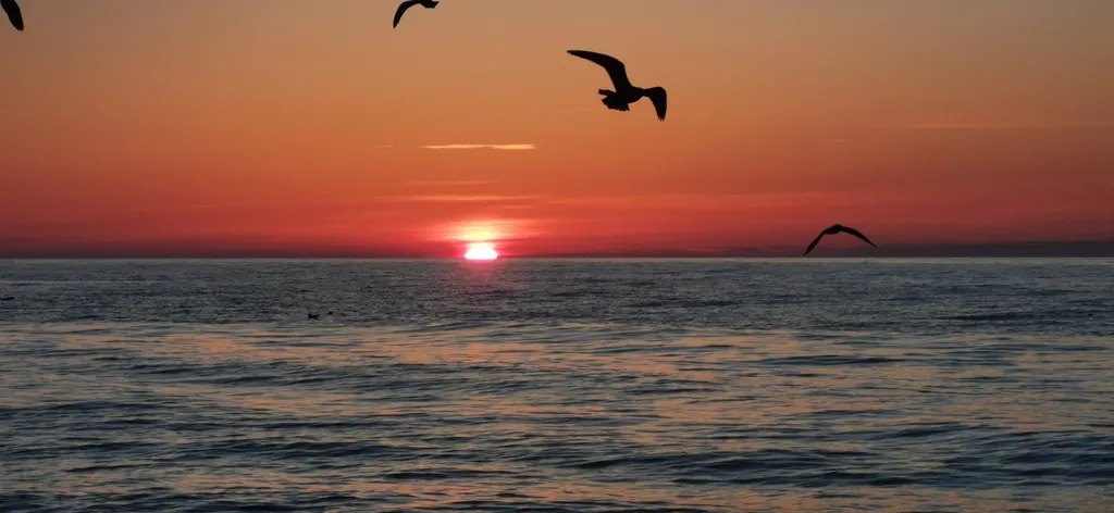 Квартира 1-комнатная Квартира — Зеленоградск