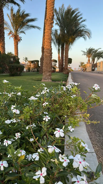 Апартаменты с личным пляжем и бассейном