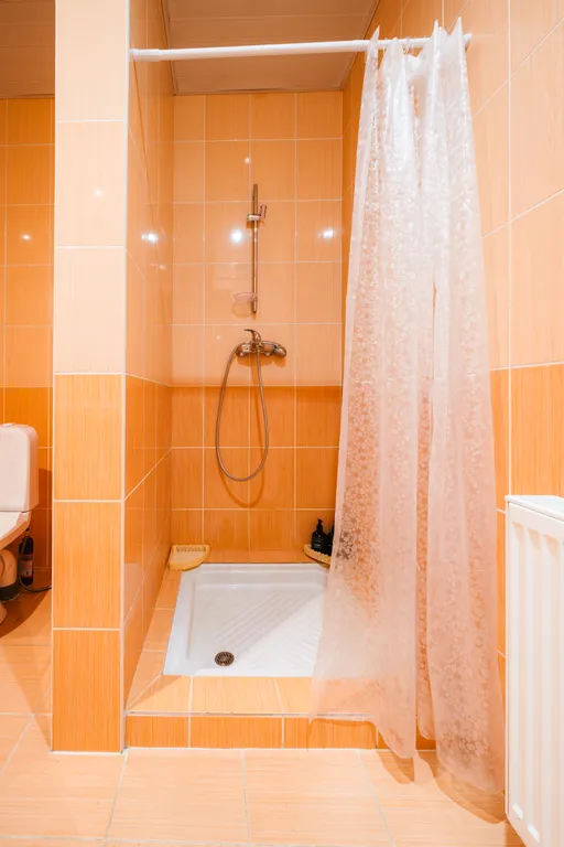 Дом на пруду с камином и караоке