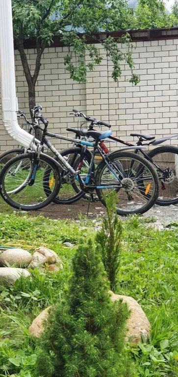 Уютные апартаменты в Домбае