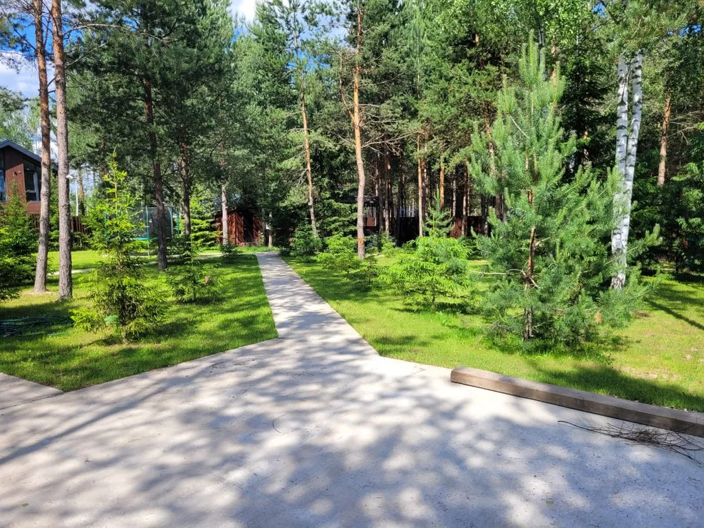 Дом в сосновом лесу