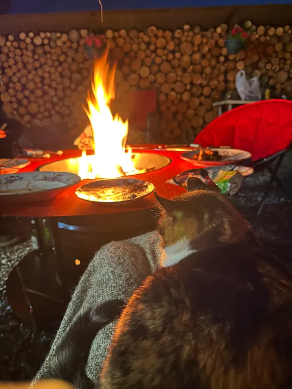 Гостевой фотодом Зазеркалье