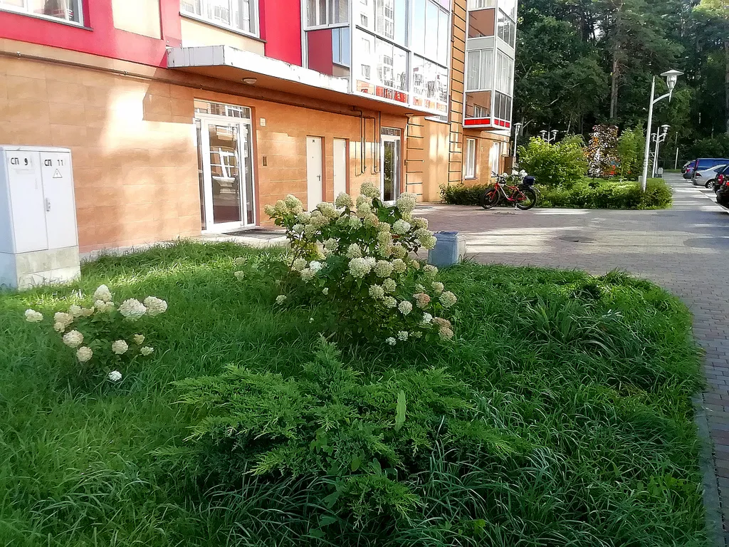 Квартира у моря, с видом на озеро и сосновый бор