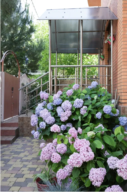 Комната для двоих гостей без балкона