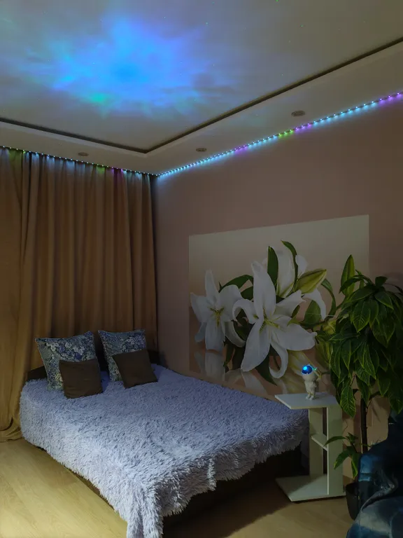 Уютная квартира у озера Разлив с лесопарком