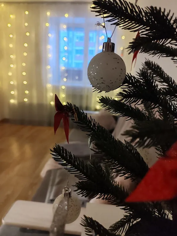 Уютная квартира - студия в новом доме с видом на Китай