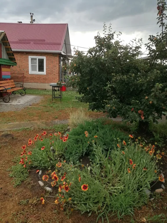 Домик в тихом месте возле горной реки