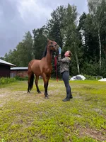 Эка