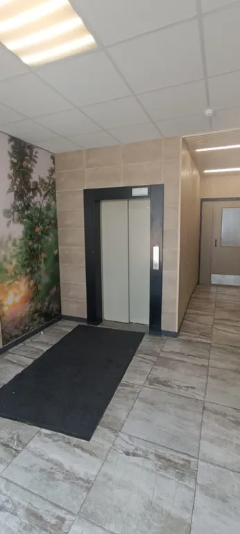 Квартира 1-комнатная Квартира — Янино-1