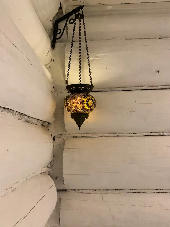 Дом в соснах