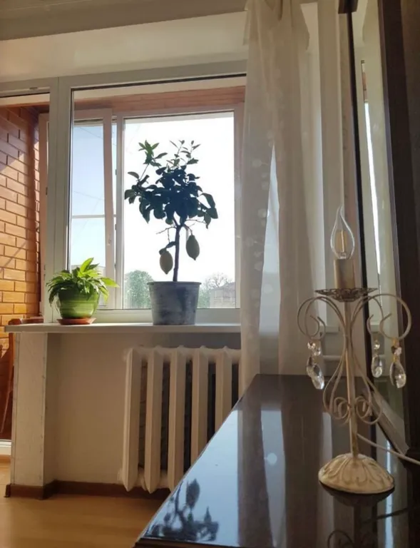 Видовая квартира на Набережной