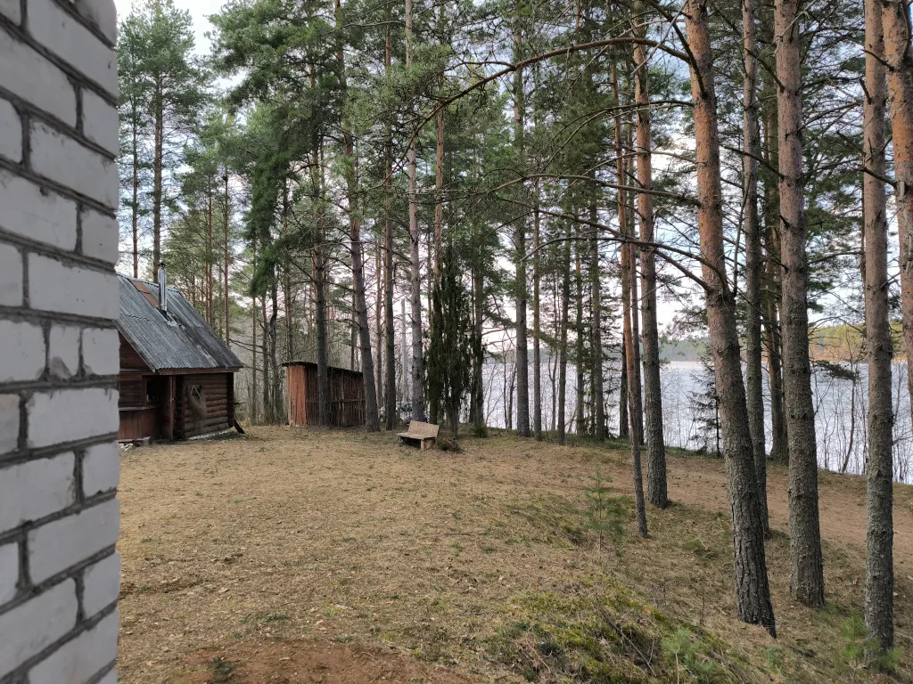Гостевой дом на берегу озера в сосновом бору