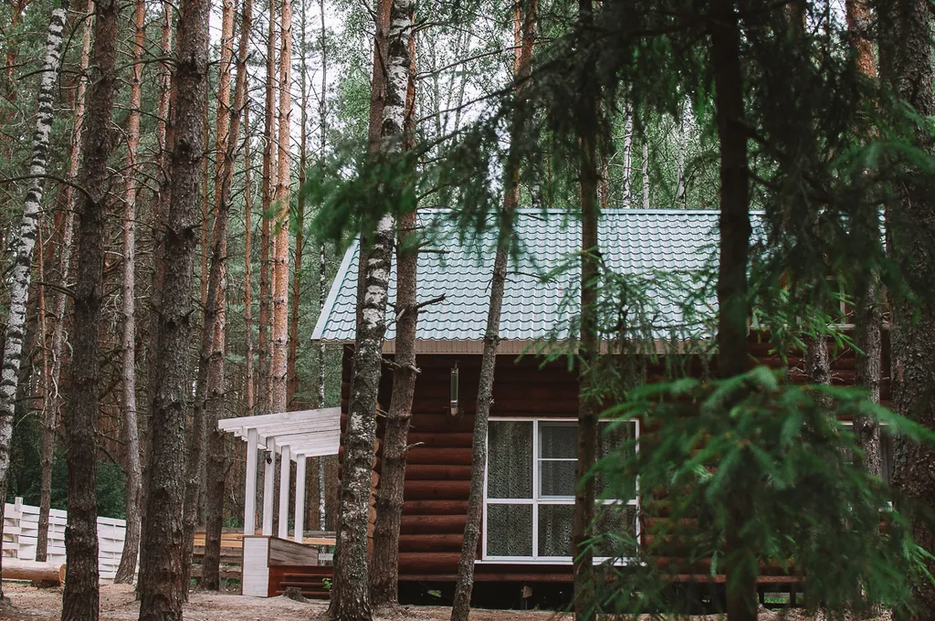 Дом в лесу на берегу реки Пра