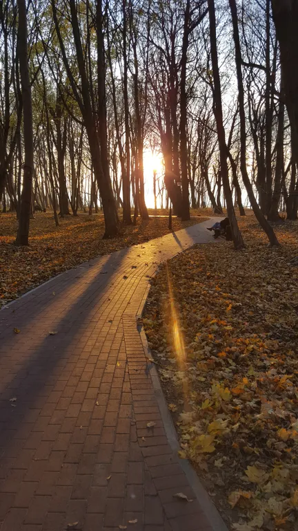 Свидание у моря